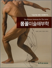 몸꼴 미술 해부학