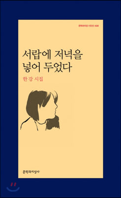 서랍에 저녁을 넣어 두었다 -문학과지성 시인선438