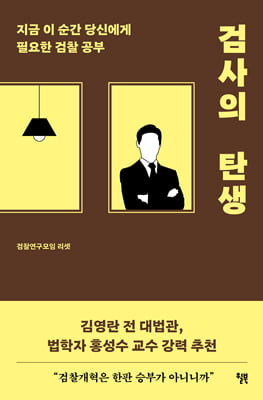 검사의 탄생 : 지금 이 순간 당신에게 필요한 검찰 공부