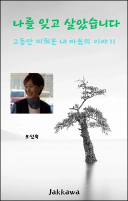 나를 잊고 살았습니다 : 그동안 미뤄온 내 마음의 이야기