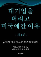 대기업을 버리고 미국에 온 이유 - 제 1권 -