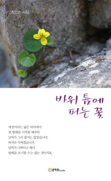 바위 틈에 피는 꽃